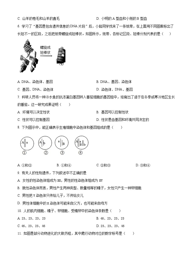 陕西省西安市高新第二初级中学2023-2024学年八年级下学期开学考生物试题（原卷版+解析版）02