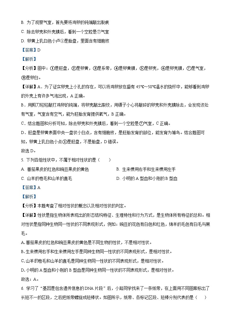 陕西省西安市高新第二初级中学2023-2024学年八年级下学期开学考生物试题（原卷版+解析版）03