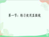人教版生物七年级上册 第2单元第1章第1节 练习使用显微镜课件