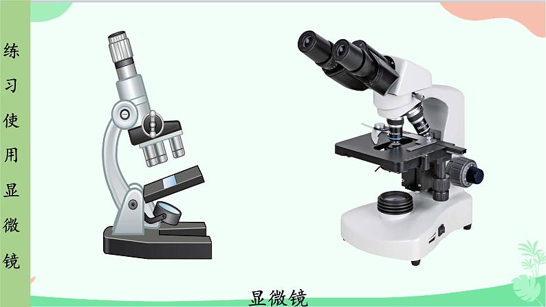 人教版生物七年级上册 第2单元第1章第1节 练习使用显微镜课件第4页