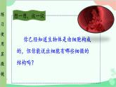 人教版生物七年级上册 第2单元第1章第1节 练习使用显微镜课件