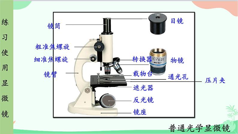 人教版生物七年级上册 第2单元第1章第1节 练习使用显微镜课件第8页