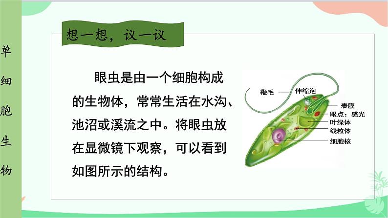 人教版生物七年级上册 第2单元第2章第4节 单细胞生物课件第4页