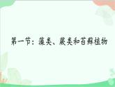 人教版生物七年级上册 第3单元第1章第1节 藻类、苔藓和蕨类植物课件