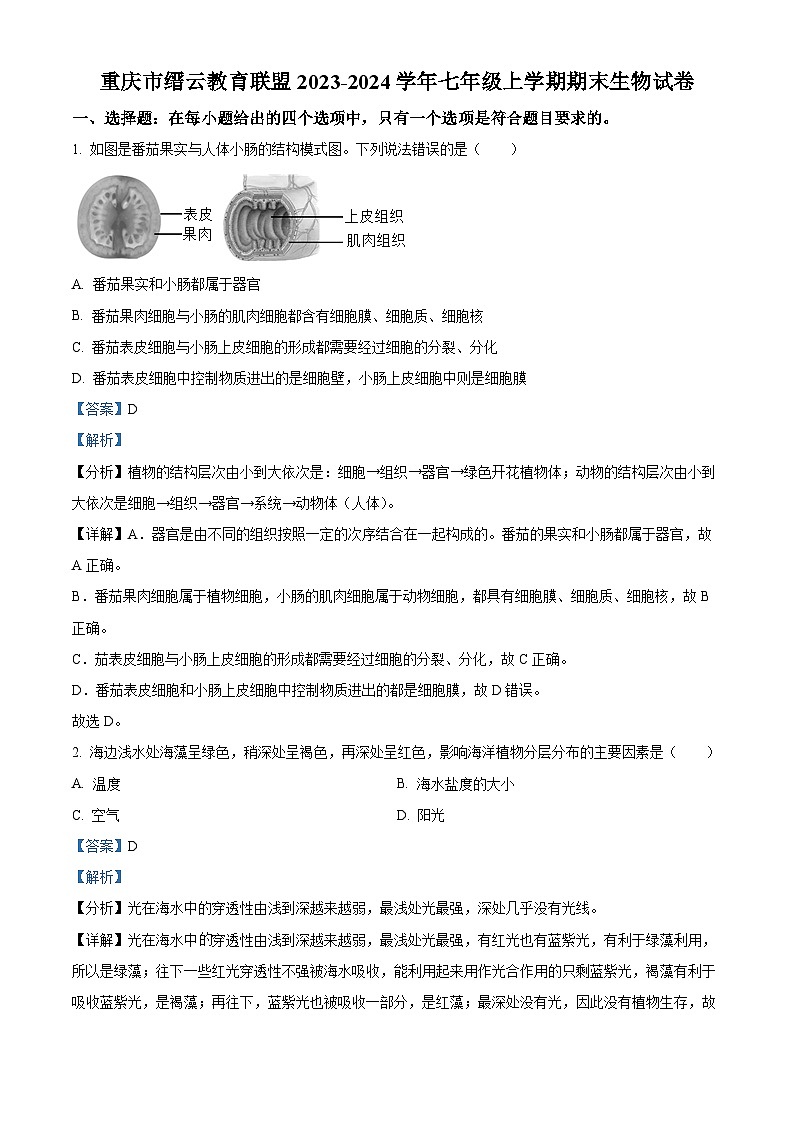 重庆市缙云教育联盟2023-2024学年七年级上学期期末生物试题（原卷版+解析版）01