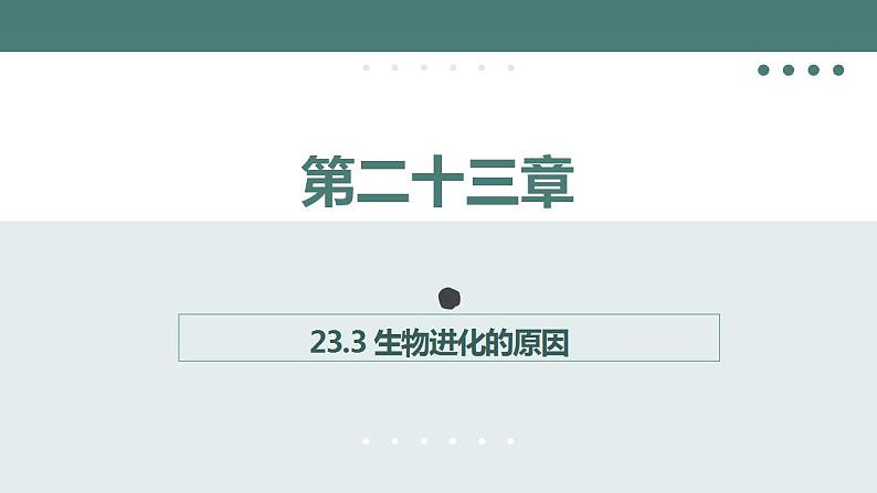 23.3+生物进化的原因同步课件2023--2024学年苏科版生物八年级下册01