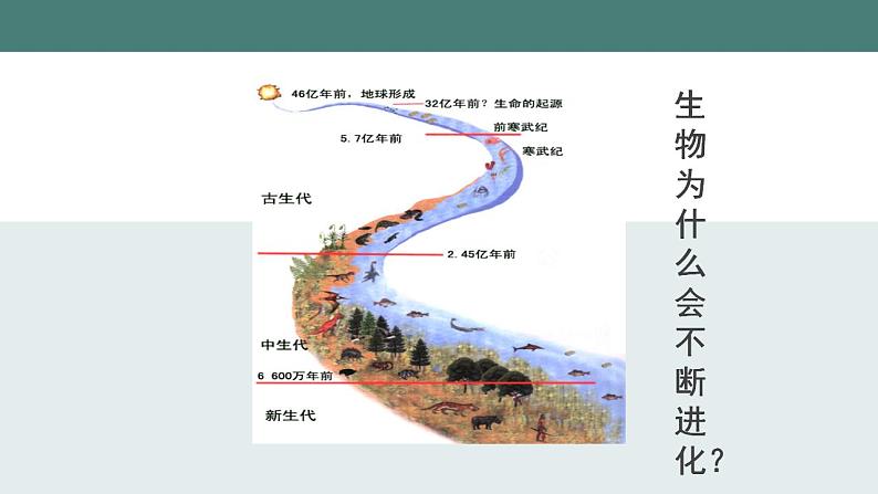 23.3+生物进化的原因同步课件2023--2024学年苏科版生物八年级下册05