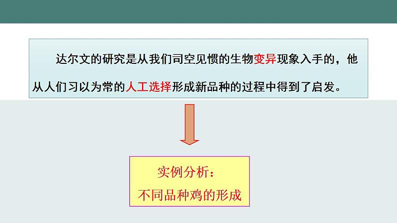 23.3+生物进化的原因同步课件2023--2024学年苏科版生物八年级下册08