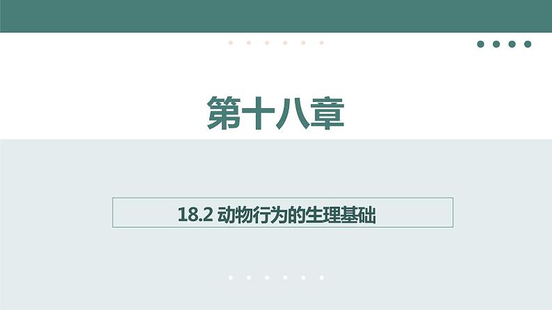 18.2动物行为的生理基础同步课件2023--2024学年苏教版生物八年级上册01