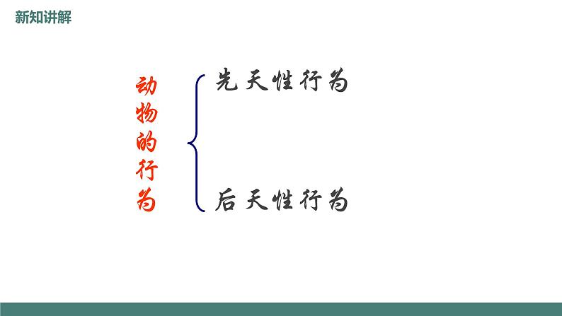 18.2动物行为的生理基础同步课件2023--2024学年苏教版生物八年级上册07