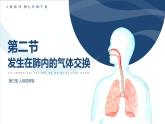 4.3.2发生在肺内的气体交换课件2023--2024学年人教版生物七年级下册