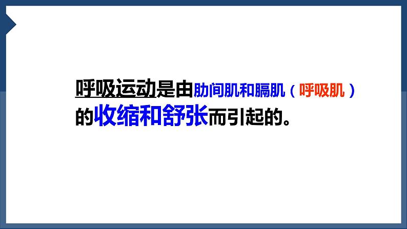 4.3.2发生在肺内的气体交换课件2023--2024学年人教版生物七年级下册第8页