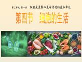 2.1.4细胞的生活课件2023--2024学年人教版生物七年级上册