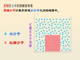 2.1.4细胞的生活课件2023--2024学年人教版生物七年级上册