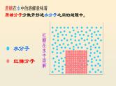 2.1.4细胞的生活课件2023--2024学年人教版生物七年级上册