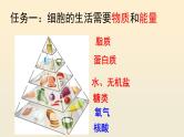 2.1.4细胞的生活课件2023--2024学年人教版生物七年级上册