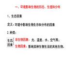 1.1.2生物与环境的相互影响课件2023--2024学年北师大版生物七年级上册