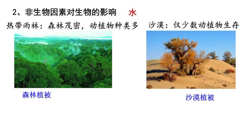 1.1.2生物与环境的相互影响课件2023--2024学年北师大版生物七年级上册08