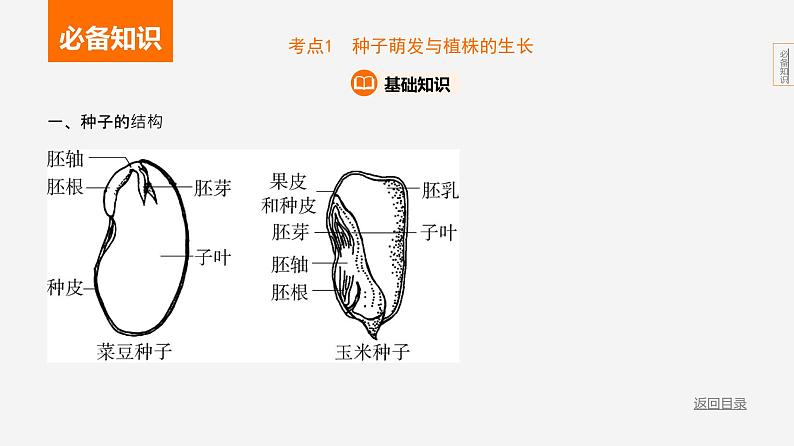 主题4 植物的生活--2024年中考 初中生物 一轮复习课件03