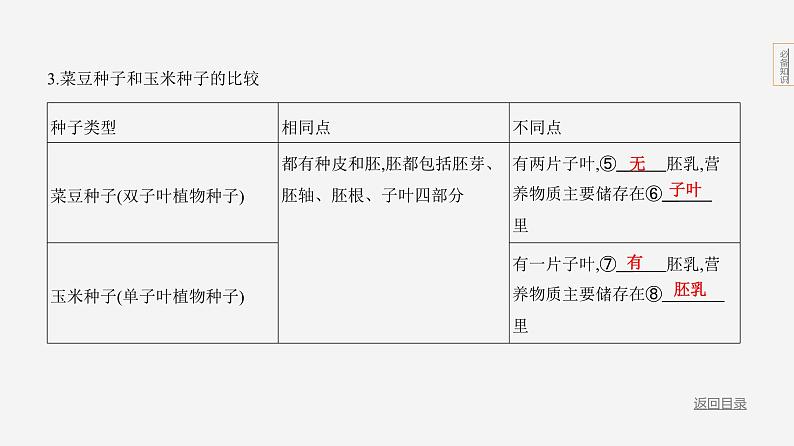 主题4 植物的生活--2024年中考 初中生物 一轮复习课件05