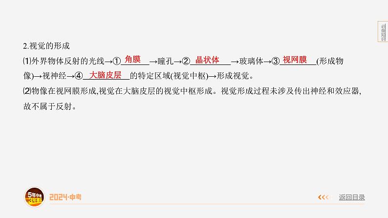 主题5 人体的生命活动--2024年中考 初中生物 一轮复习课件06