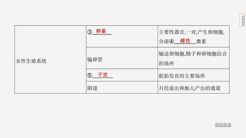 18-专题1　生物的生殖和发育第4页