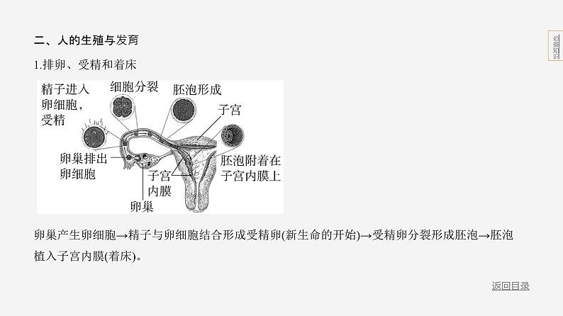 18-专题1　生物的生殖和发育第5页