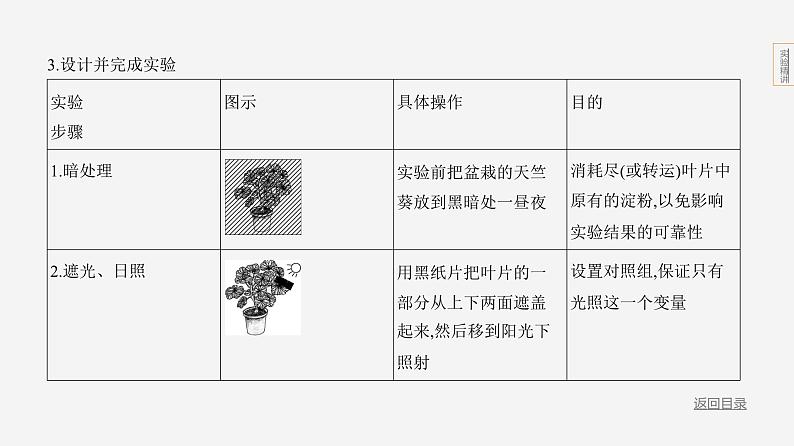 实验突破五　光合作用综合第4页