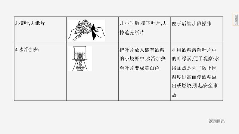 实验突破五　光合作用综合第5页