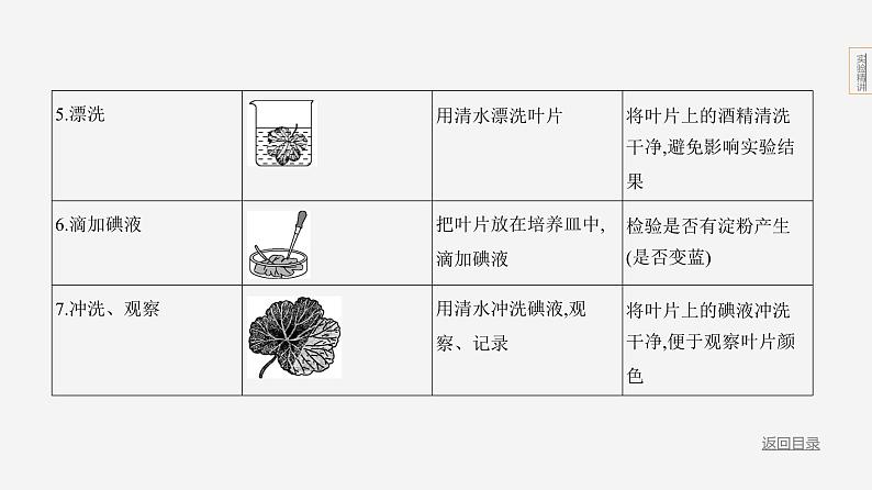 实验突破五　光合作用综合第6页