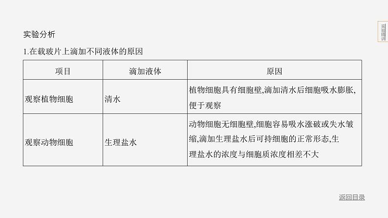 实验突破一　制作动植物细胞的临时装片第6页