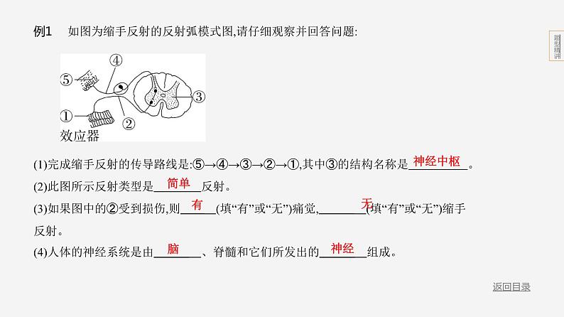 题型一　识图填空第5页