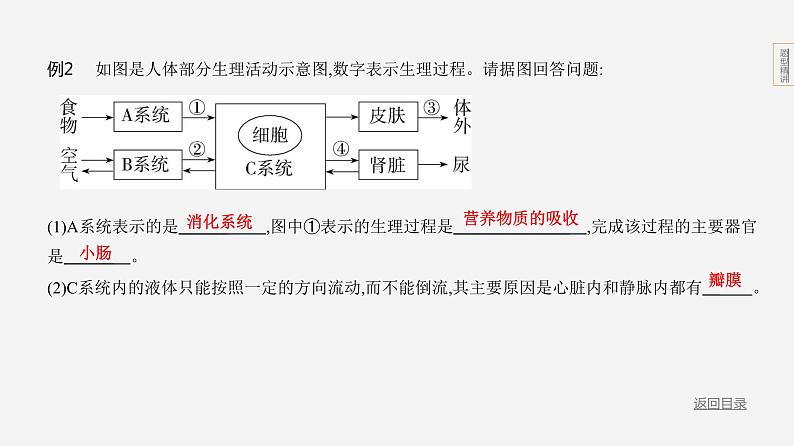 题型一　识图填空第8页