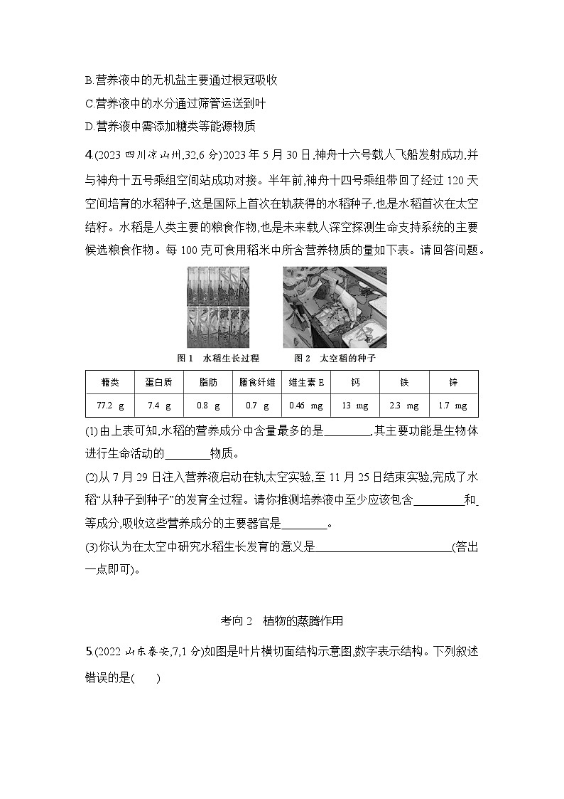 主题4 植物的生活--2024年中考 初中生物 一轮复习练习03