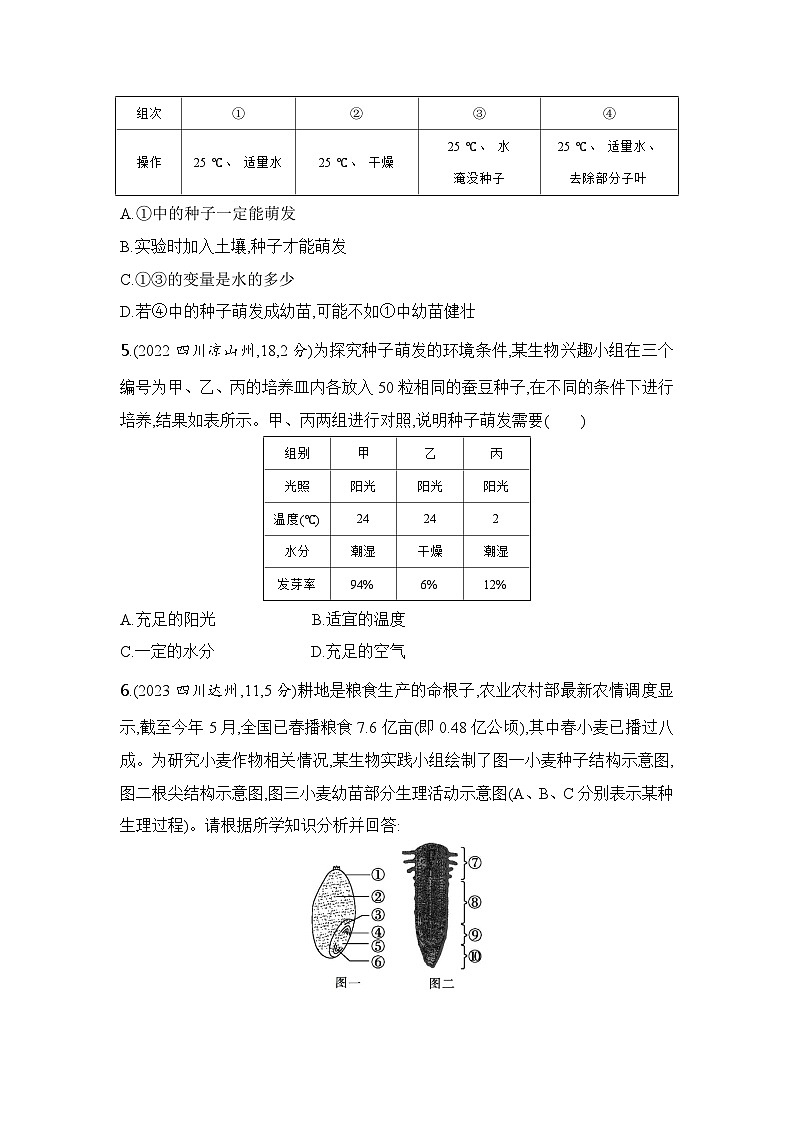 实验突破四  探究种子萌发的外部条件第3页