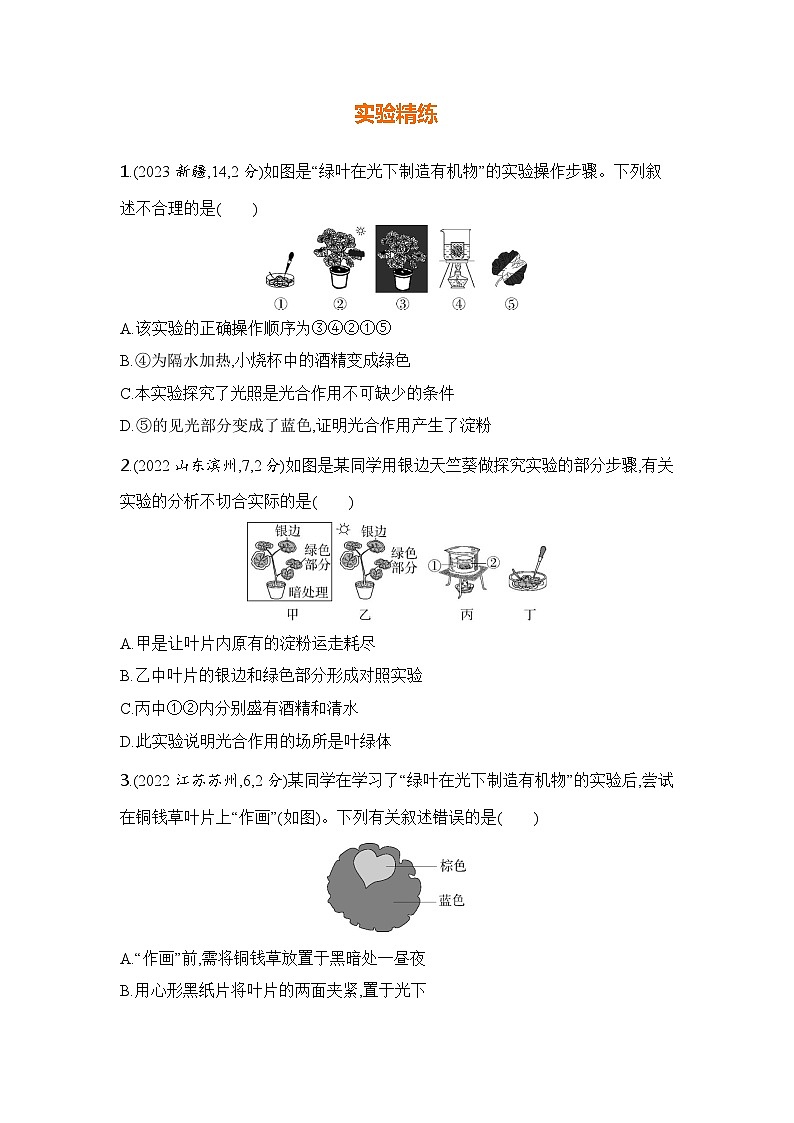 实验突破五  光合作用综合第2页