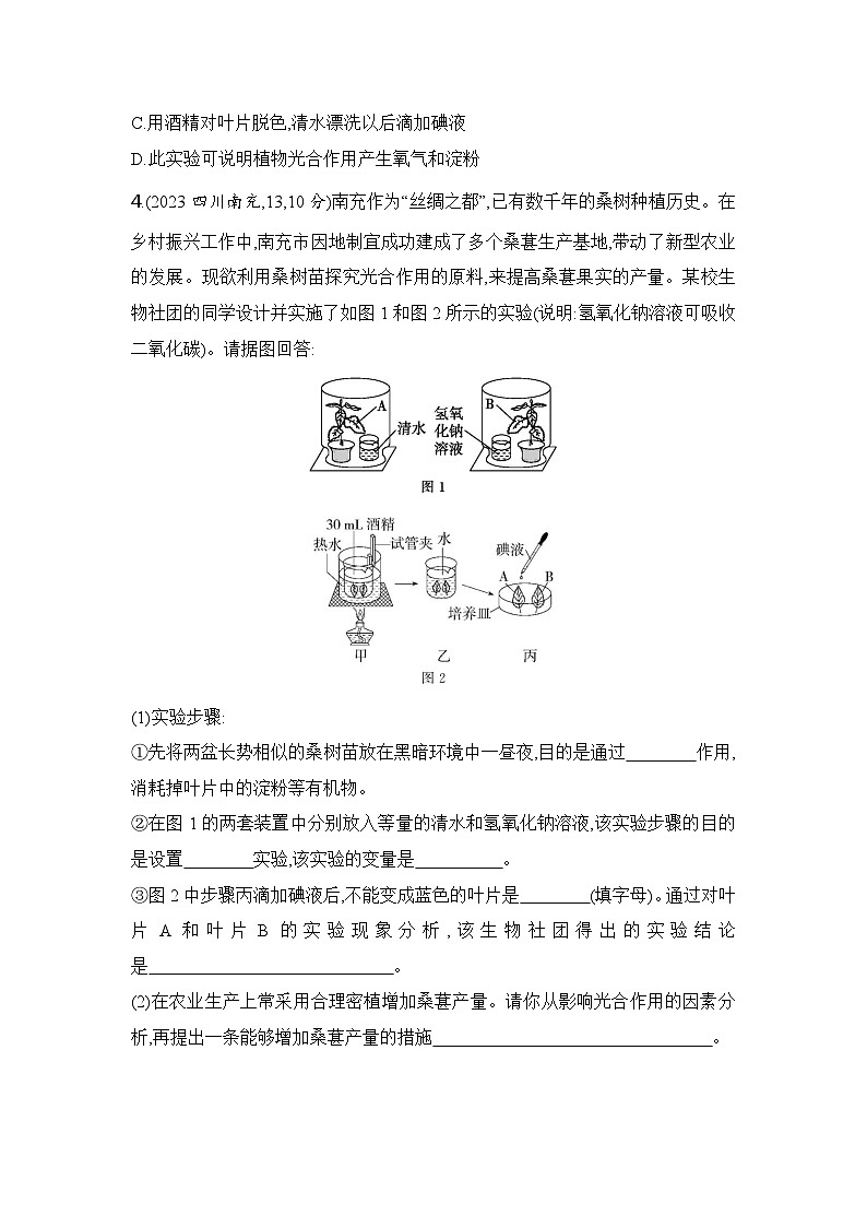 实验突破五  光合作用综合第3页