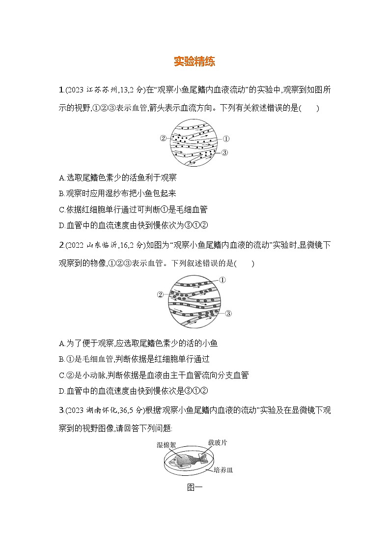 实验突破八 观察小鱼尾鳍内血液的流动第2页
