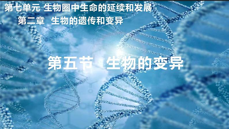 7.2.5生物的变异课件2023--2024学年人教版生物八年级下册第2页