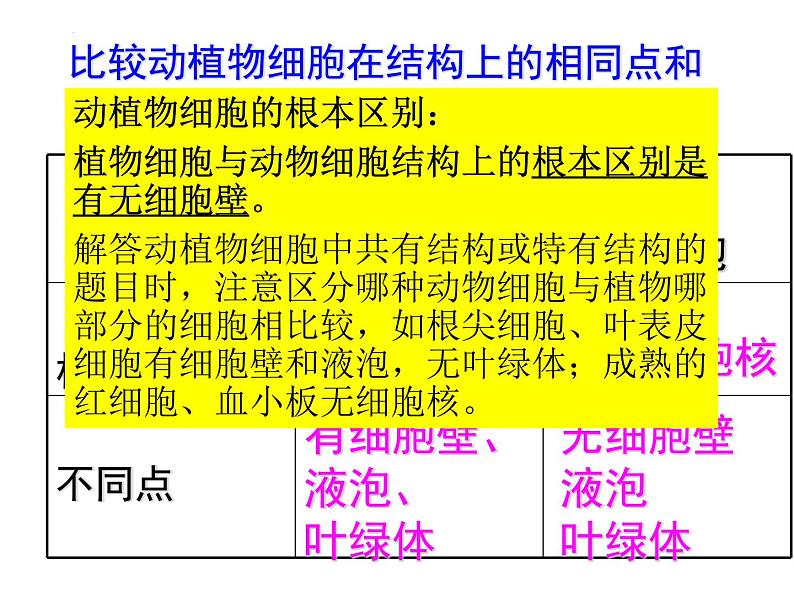 2.2细胞怎样构成生物体课件2023--2024学年人教版生物七年级上册第4页