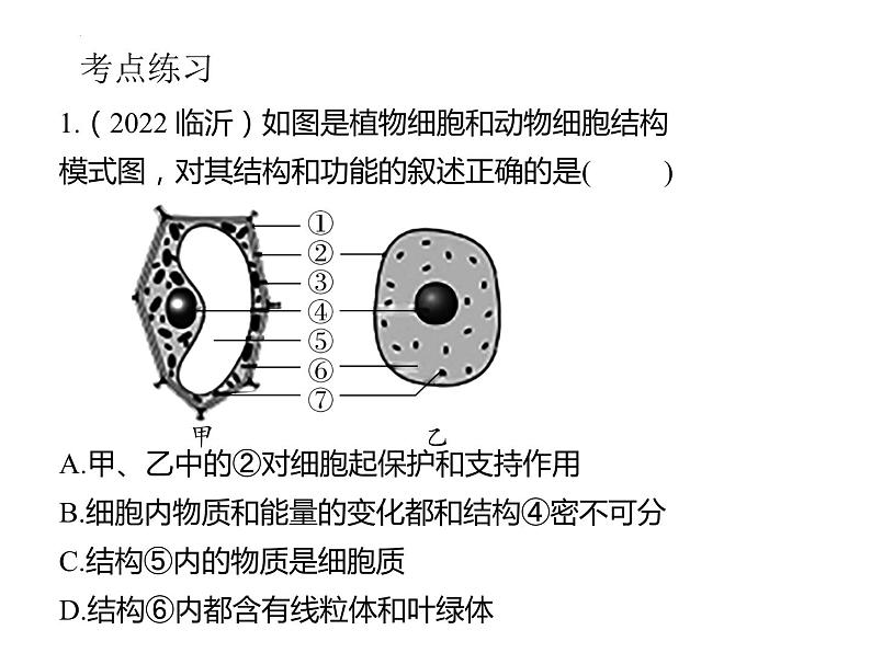 2.2细胞怎样构成生物体课件2023--2024学年人教版生物七年级上册第5页