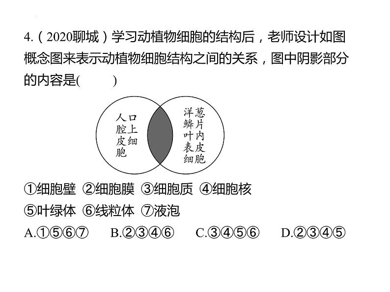 2.2细胞怎样构成生物体课件2023--2024学年人教版生物七年级上册第7页