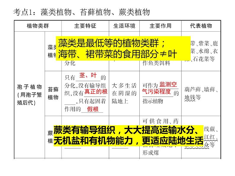 3.1生物圈中有那些绿色植物复习课件2023--2024学年人教版生物七年级上册03