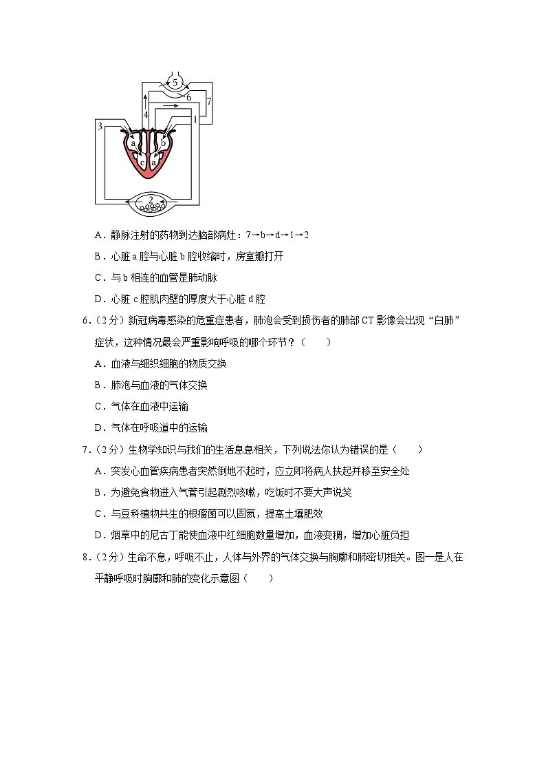 安徽省滁州市南片五校2022-2023学年七年级下学期质检生物试卷（5月份）第2页