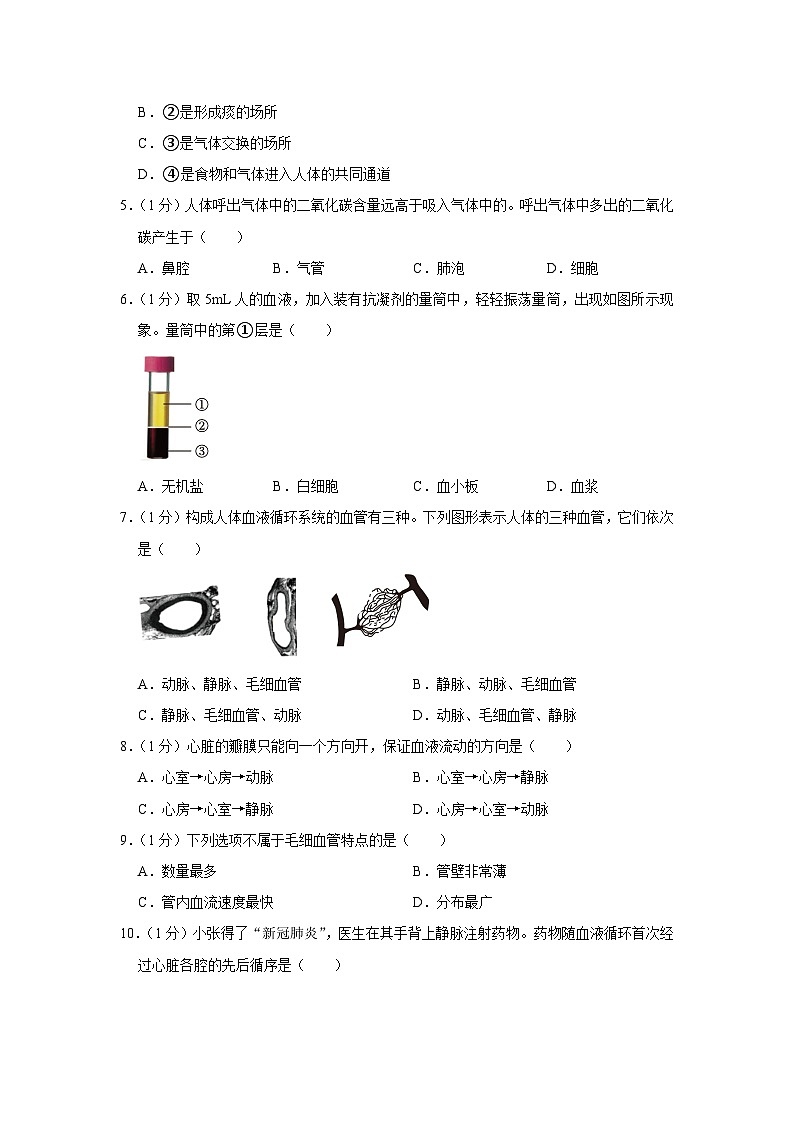 山西省长治市第七中学2022-2023学年七年级下学期月考生物试卷（5月份）第2页