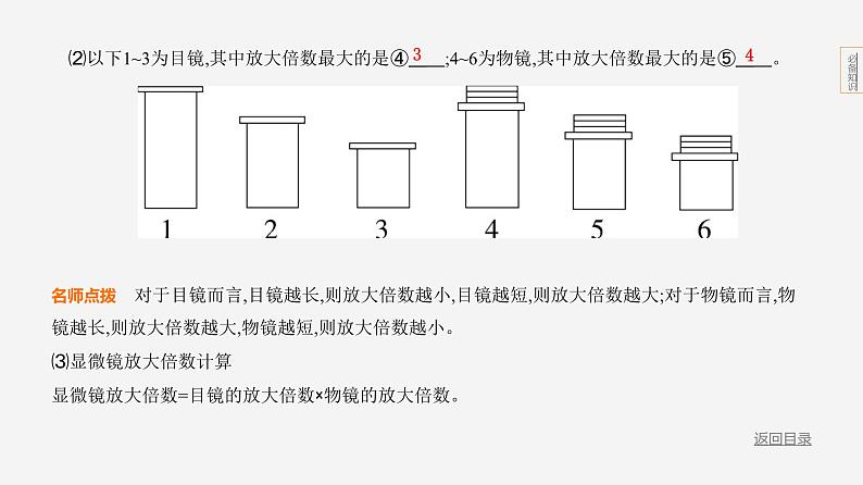 主题1 生物体的结构层次--2024年中考 北京版初中生物 一轮复习课件04