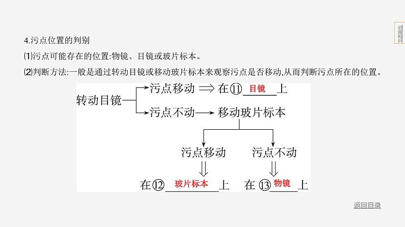 主题1 生物体的结构层次--2024年中考 北京版初中生物 一轮复习课件07