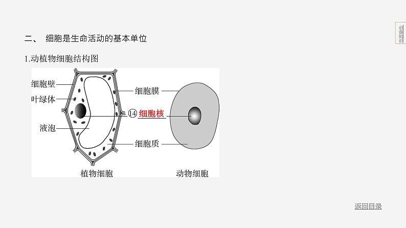 主题1 生物体的结构层次--2024年中考 北京版初中生物 一轮复习课件08