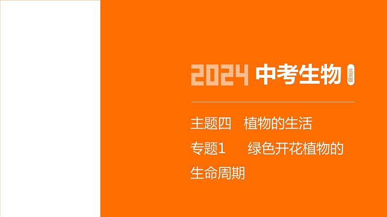 主题4 植物的生活--2024年中考 北京版初中生物 一轮复习课件01