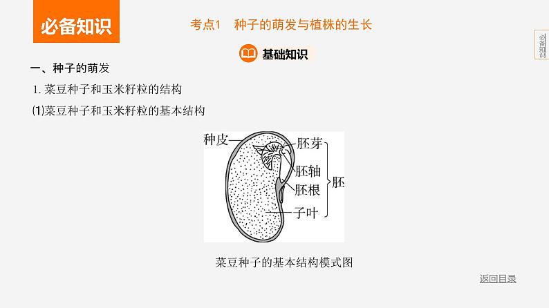 主题4 植物的生活--2024年中考 北京版初中生物 一轮复习课件03